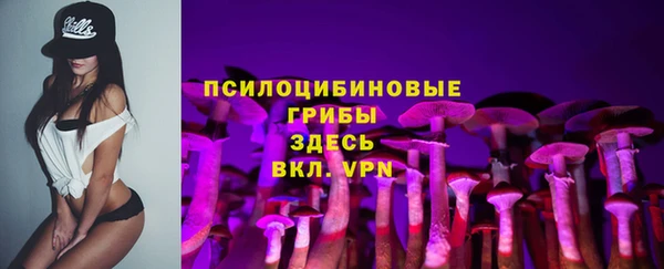гашик Волоколамск